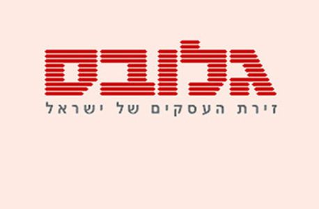 צפו הכתבה